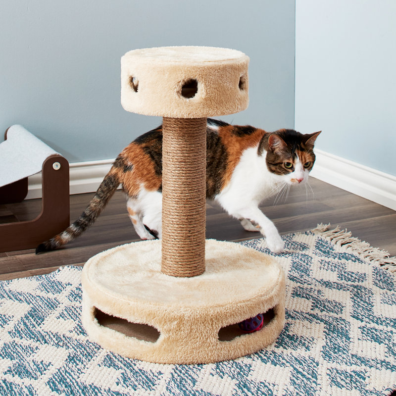 Cat scratching post wayfair best sale